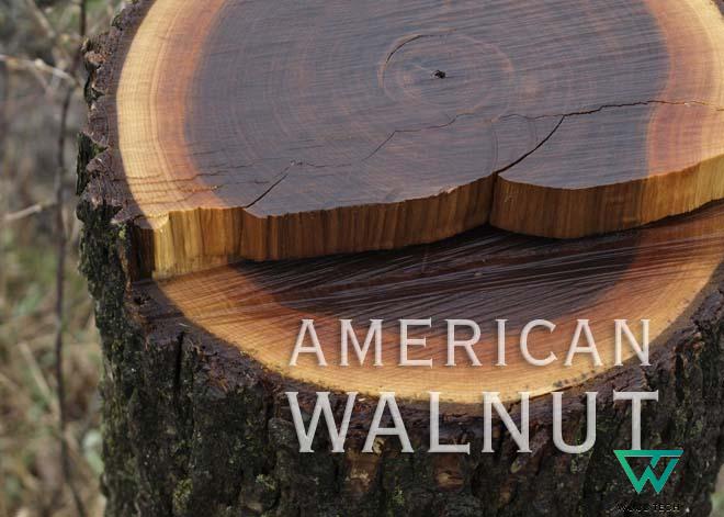 Gỗ óc chó là gì